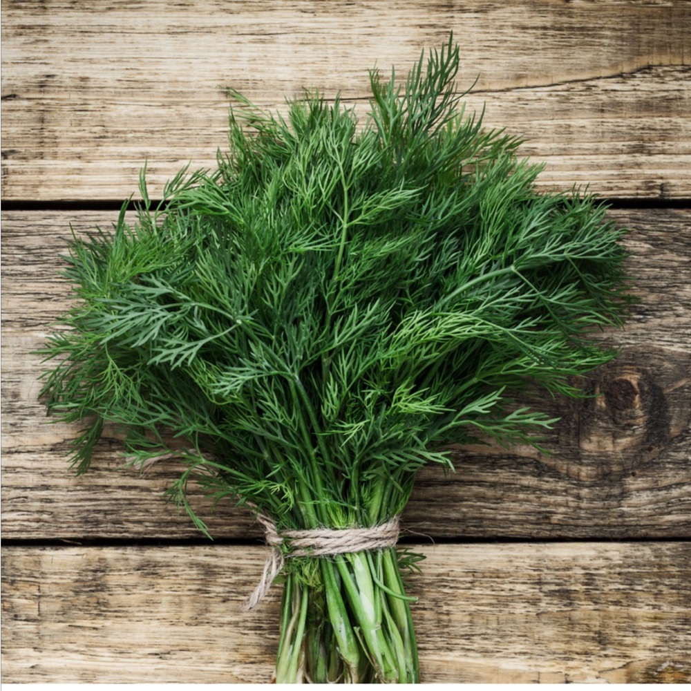 Organic Dill Seed